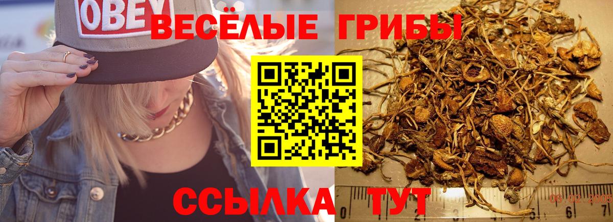Псилоцибиновые грибы Cubensis  Галлюциногенные грибы Magic Shrooms  Вход с VPN  Ивантеевка 