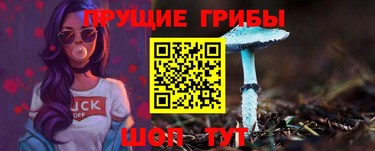 Псилоцибиновые грибы прущие грибы Ивантеевка